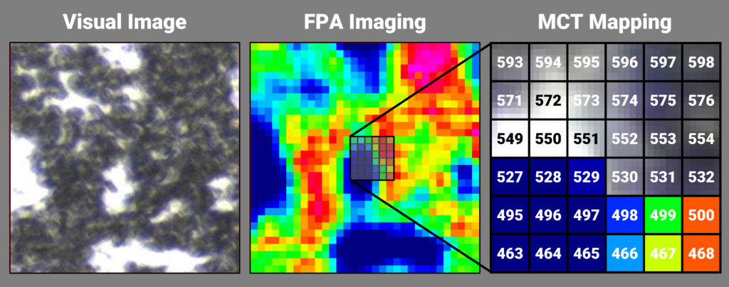 Visual microscopy image and chemical image gathered by FPA imaging. 