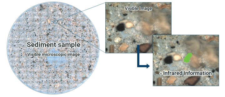 FTIR and AI coupled analysis of sediment sample.