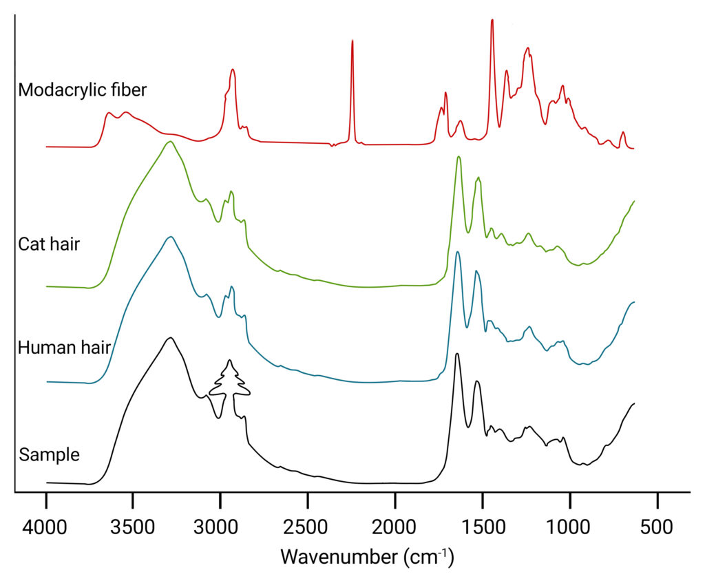 Unconventional FTIR hair analysis comparing Santa hair with other hairs and fibers. 