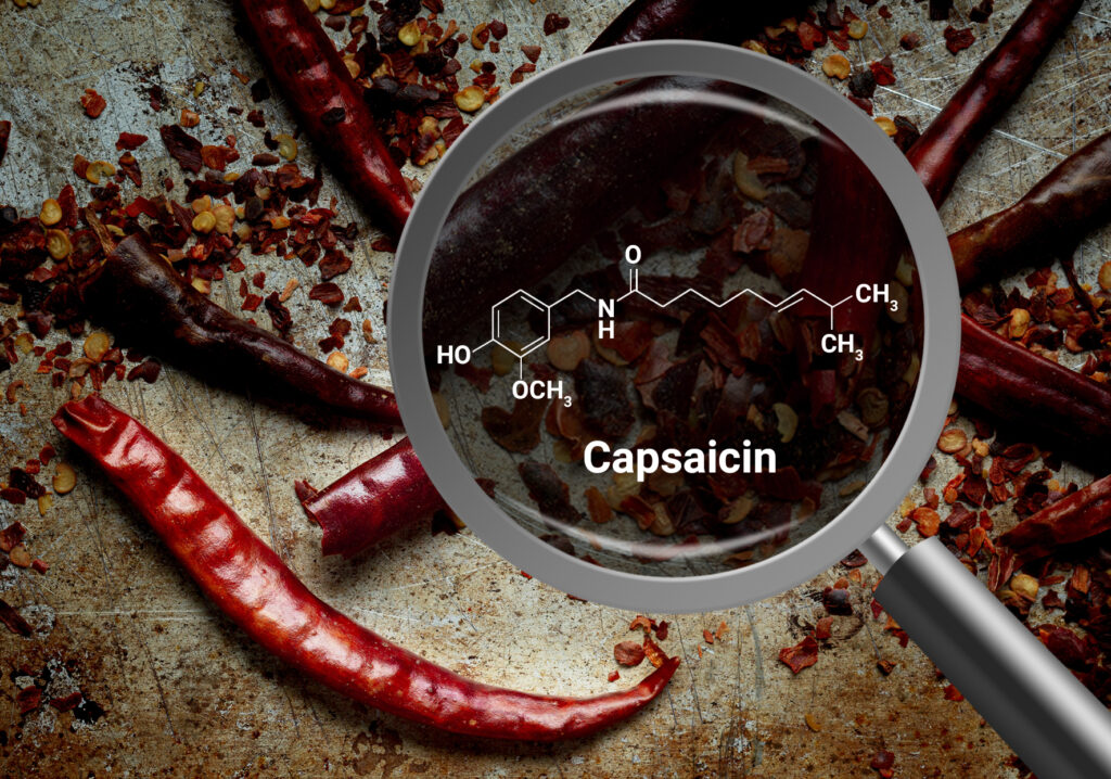 FTIR in capsaicin quantification might be a good alternative to the usual measurement techniques. 