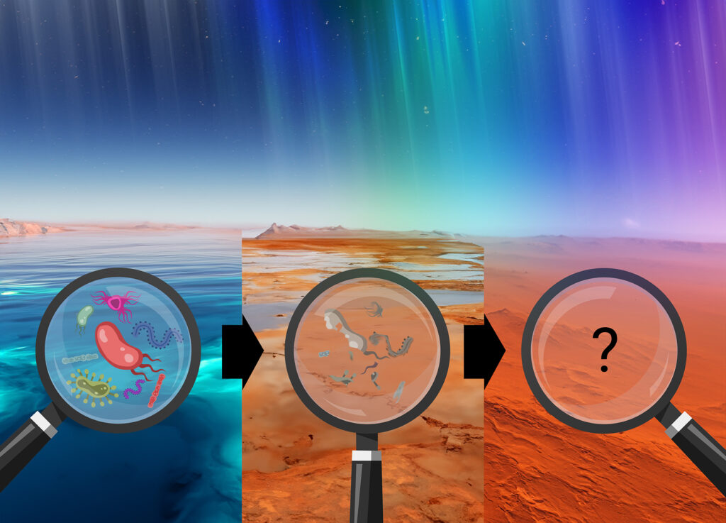 Schematic drawing of the surface of Mars during three different times of its existence. Left image shows oceans on Mars surface, a magnification glass magnifies a part of the ocean showing red, green, blue and violet bacteria. The middle image shows Mars with only little water left. The magnification glass shows already degraded bacterial remains. Colorful radiation in the sky shows cosmic rays. To the right Mars is shown as the dead, red planet we know today. Magnification glass shows nothing apart from a black question mark. The sky also shows colorful radiation. Detecting extraterrestrial life with FTIR and Raman.